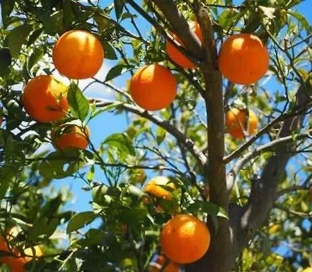 Alojamento de Acomodação e Pequeno-almoço 